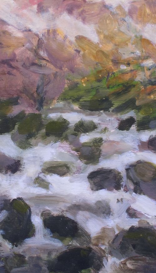 Dartmoor - The River Dart by Hugo Lines