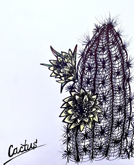 YELLOW CACTUS FLOWERS