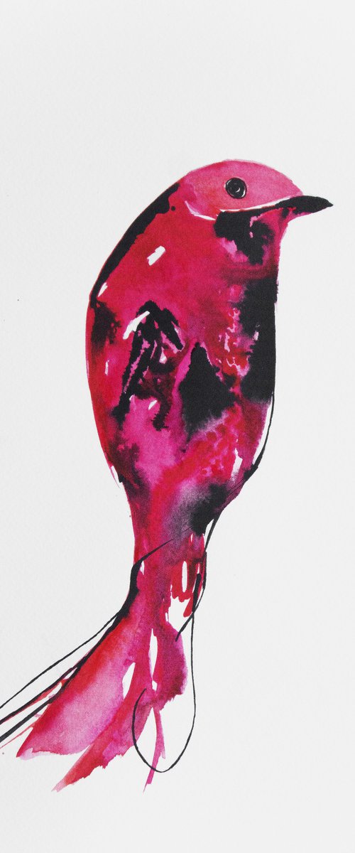 Bird by Nadia Moniatis