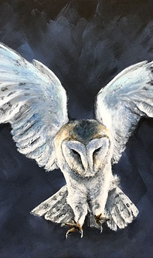 Dark Owl, Barn owl original painting by Paul Hardern