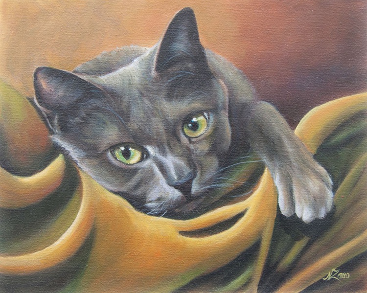 Gray Cat Acrylic Painting By Norma Beatriz Zaro Artfinder