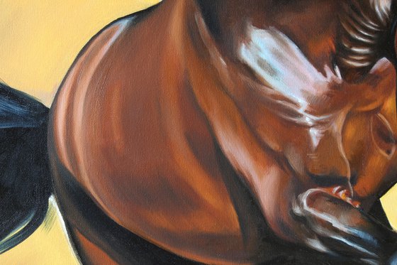 Brown horse running