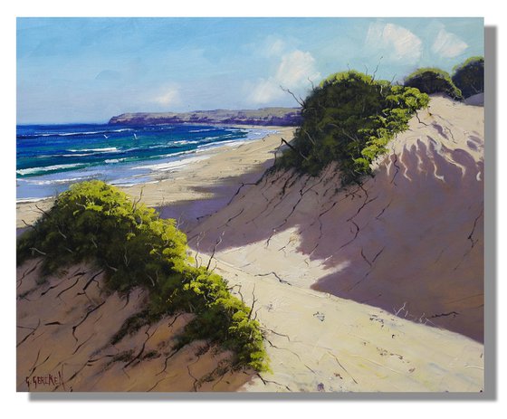 Coastal Sand Dunes and Ocean Headland