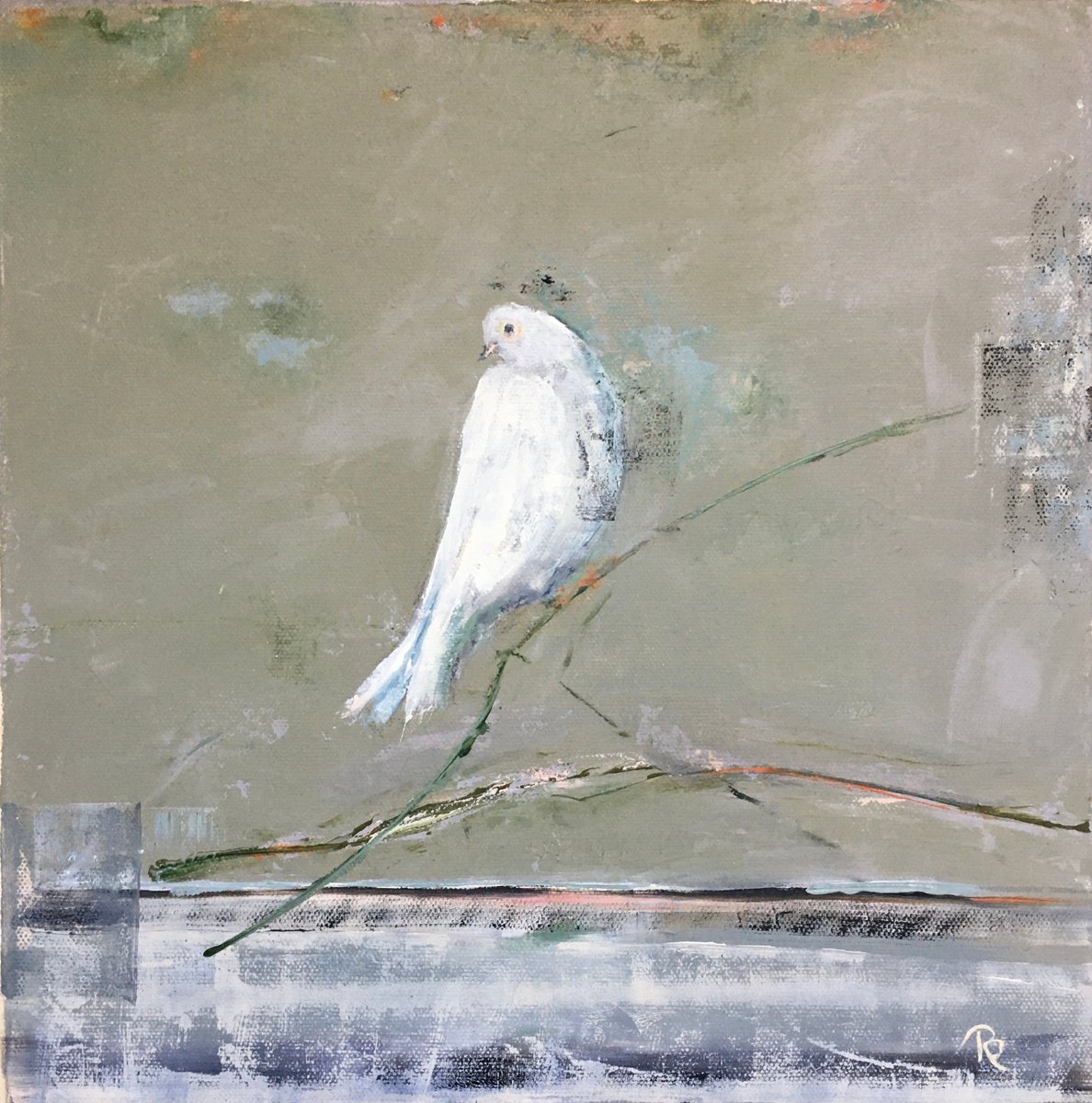 Impressionistic Animal Oil Painting By Rebecca Pells, 12 X 12", White, White Dove, Original Artwork