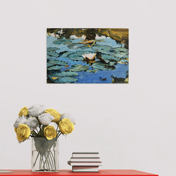 Waterlilies