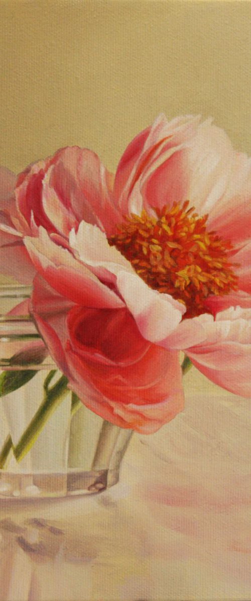peony in a glass by Julia Diven