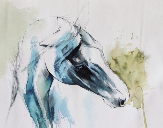 teal horse