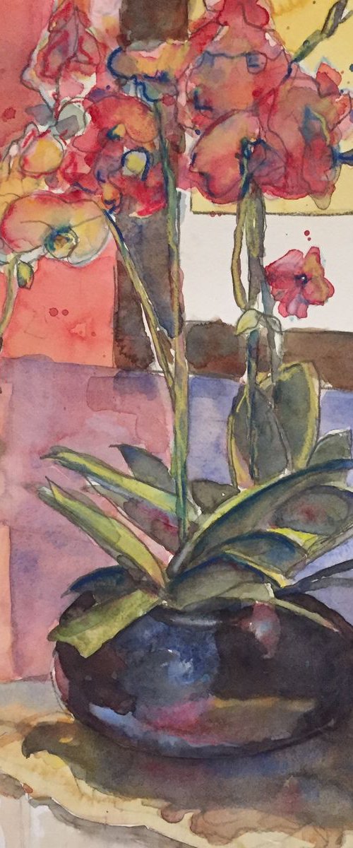 Orchids by Bronwen Jones