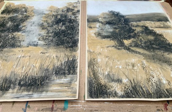 Silent Fields, Moving Air