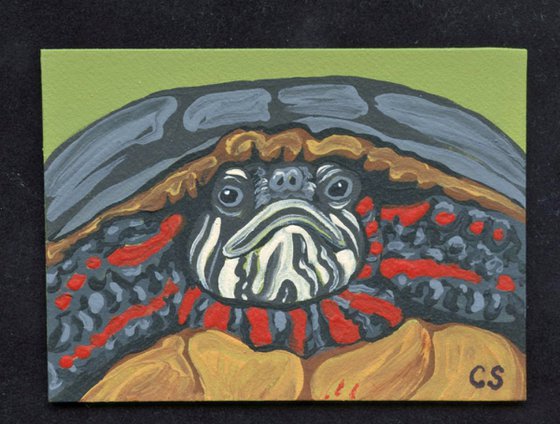 ACEO ATC Original Miniature Painting Painted Turtle Wildlife Art-Carla Smale