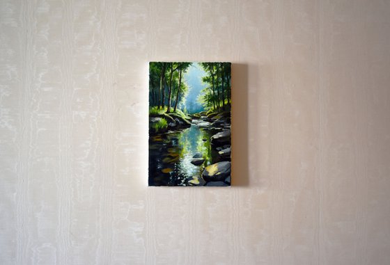 The forest river