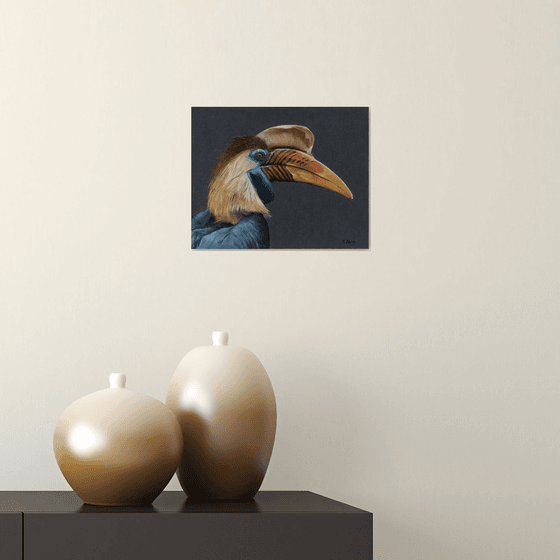 Hornbill bird