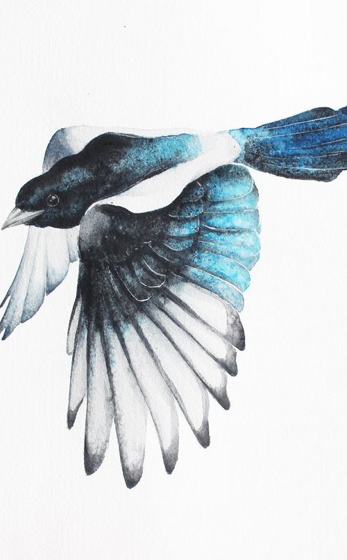 Magpie bird, wildlife, birds watercolours by Karolina Kijak