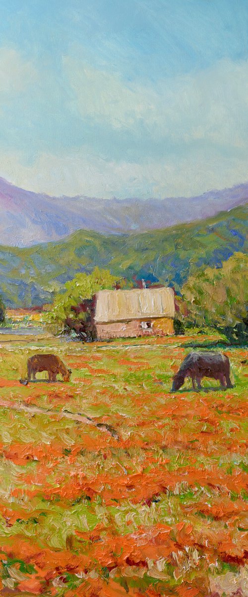 Farms in California by Suren Nersisyan