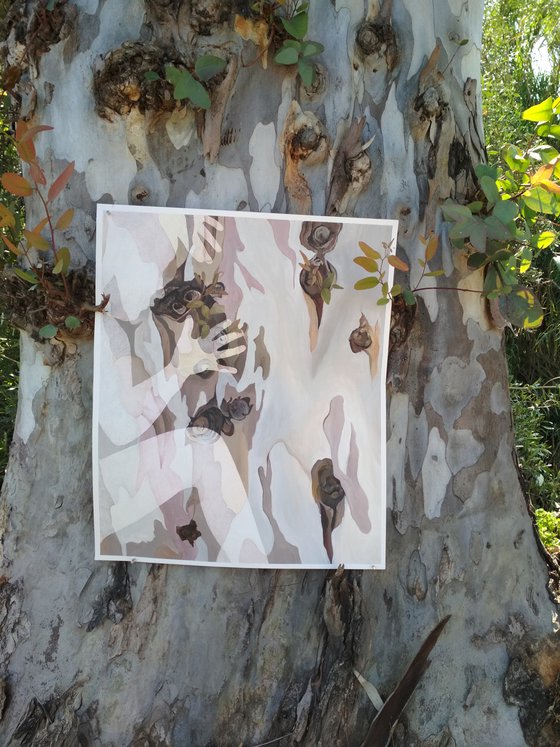 Girl on eucalyptus tree