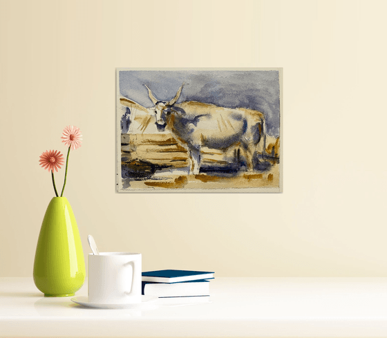 White Ox…..