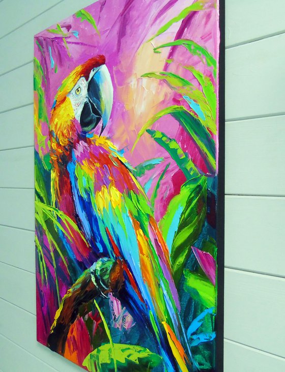 Macaw Parrot