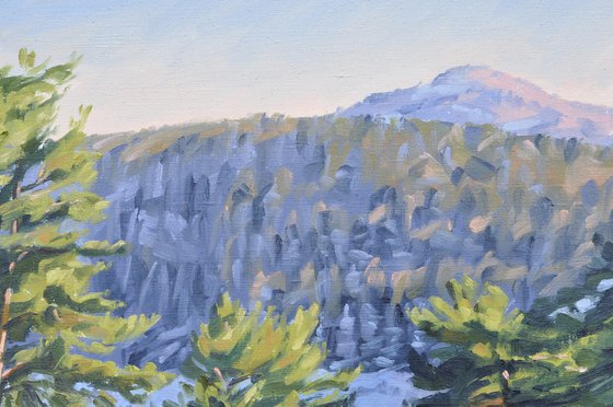 Winter afternoon on the Mézenc