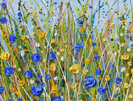 Blue and Yellow Wildflowers