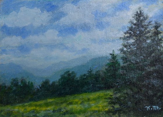 Blue Ridge Mountain Meadow # 2 - 5X7 oil (SOLD)