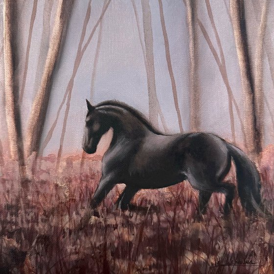 Black horse #4