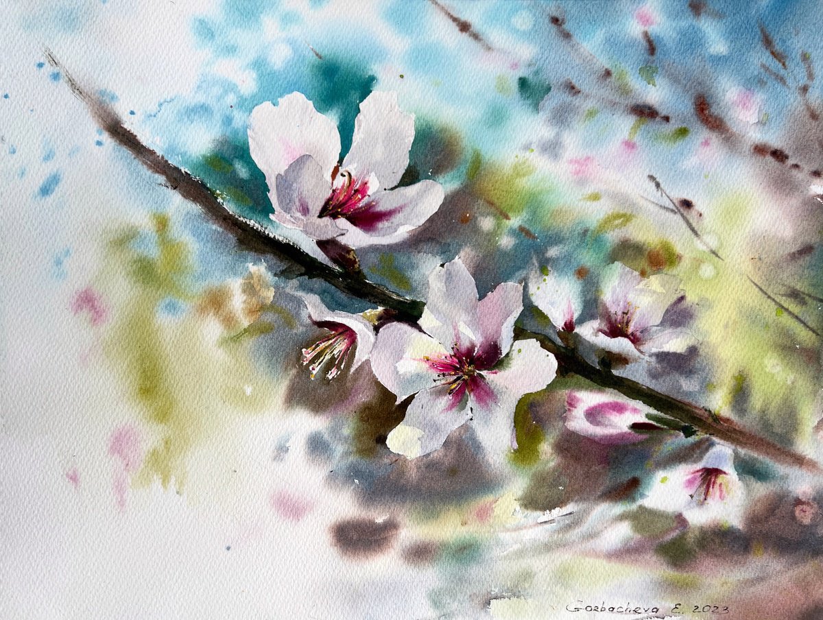 Impressionistic Botanical Watercolour By Eugenia Gorbacheva, 16 X 12, Almond Flowers #5, Original Artwork