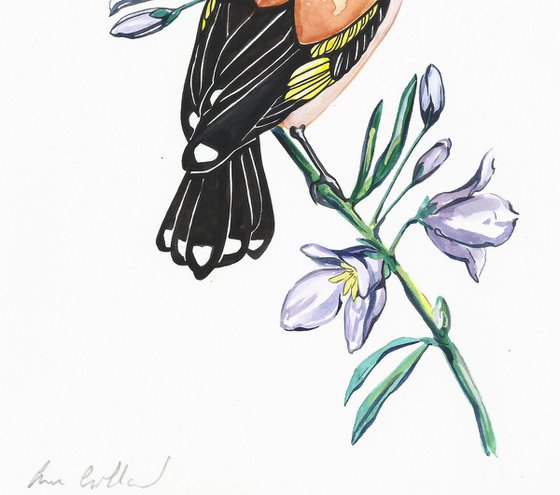 Goldfinch and Bellflower