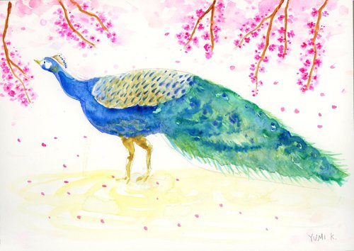 Peacock with cherry blossom by Yumi Kudo