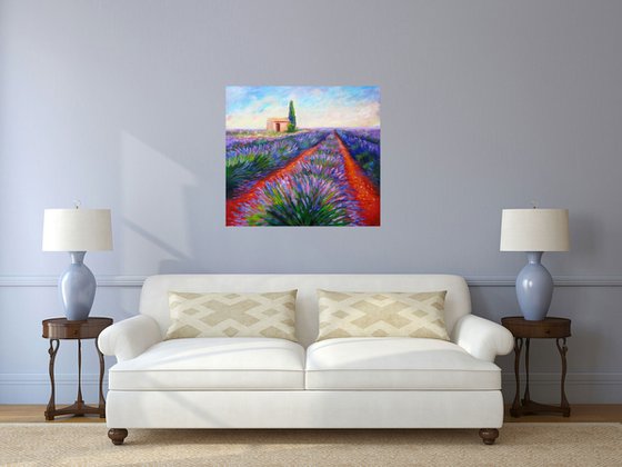 Lavender Fields