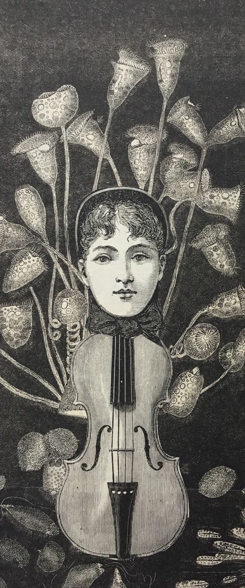Notes and Music by Tudor Evans