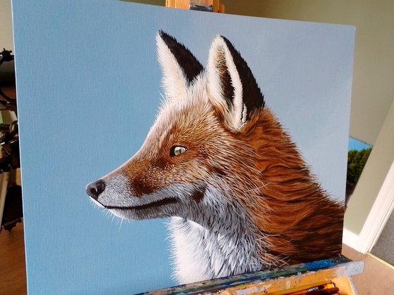Fox in colour