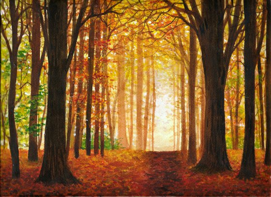Autumnal woods