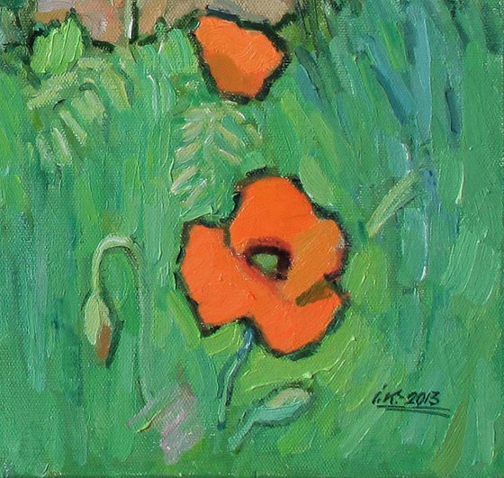 Poppies