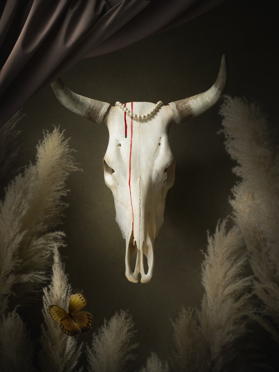 Photorealistic Still Life Photograph By Dmitry Ersler, 35 X 27, The Immortality, Original Artwork