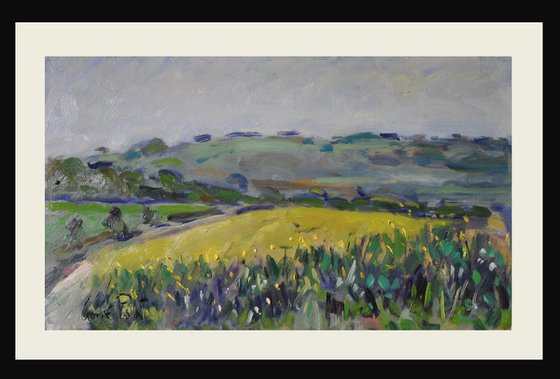 The Downs near Southdown Gun Club..