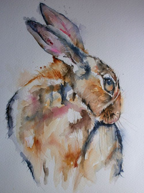 coy little bunny by Sue  Green