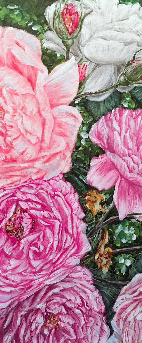 SPRING BACK TO LIFE - PEONIES by HSIN LIN