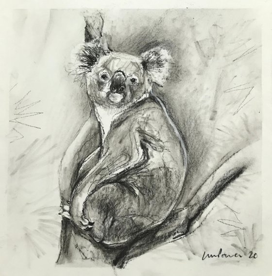 Charcoal Koala #08