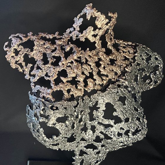 Belisama Sacred Andalusian