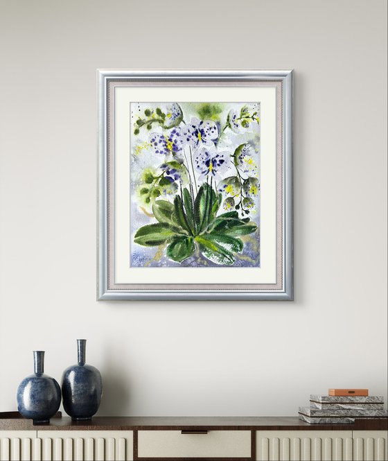 White Orchid in a pot
