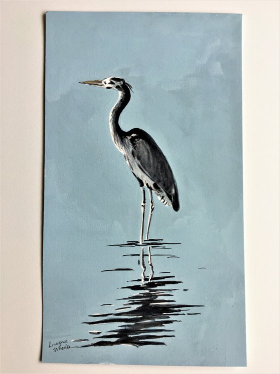 Blue Heron in Water