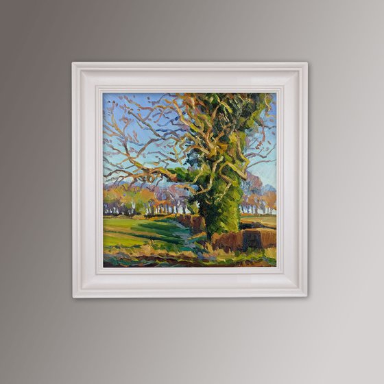 Shadow of the Oak