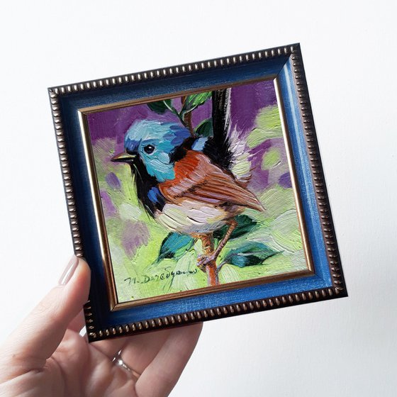 Fairy wren bird oil painting original 4x4
