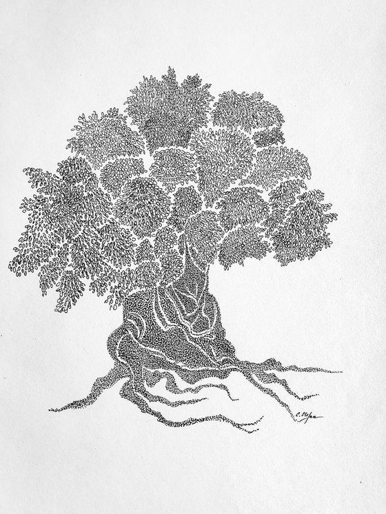 Olive Tree - ink on paper - dots