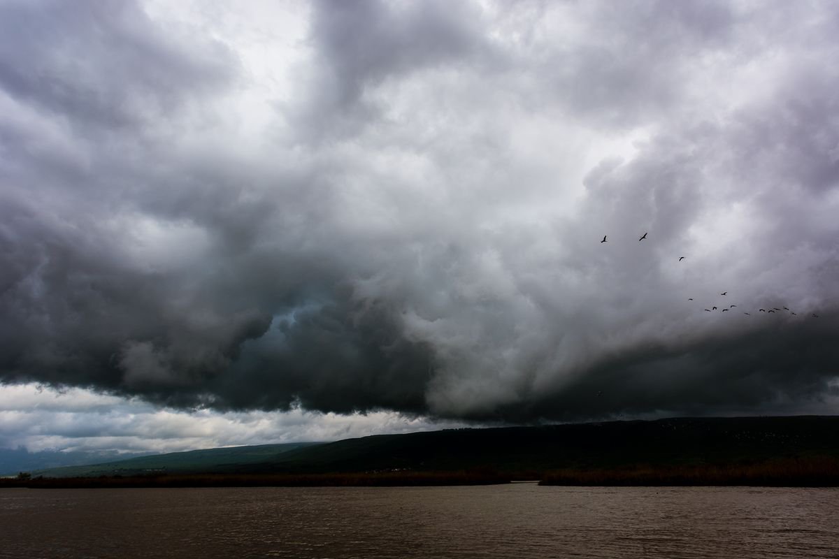 Photograph , The Hula Valley #1 By Tal Paz-Fridman, 34 X 24, Artwork For Sale On Artfinder