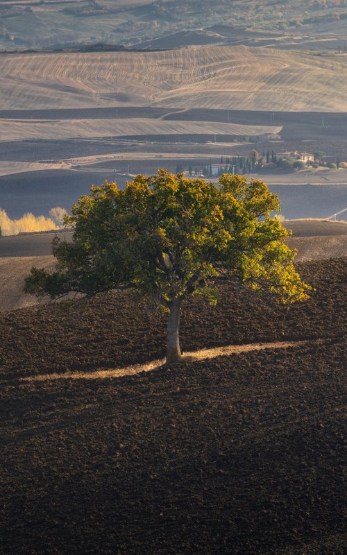 ON THE HILL by Giovanni Laudicina