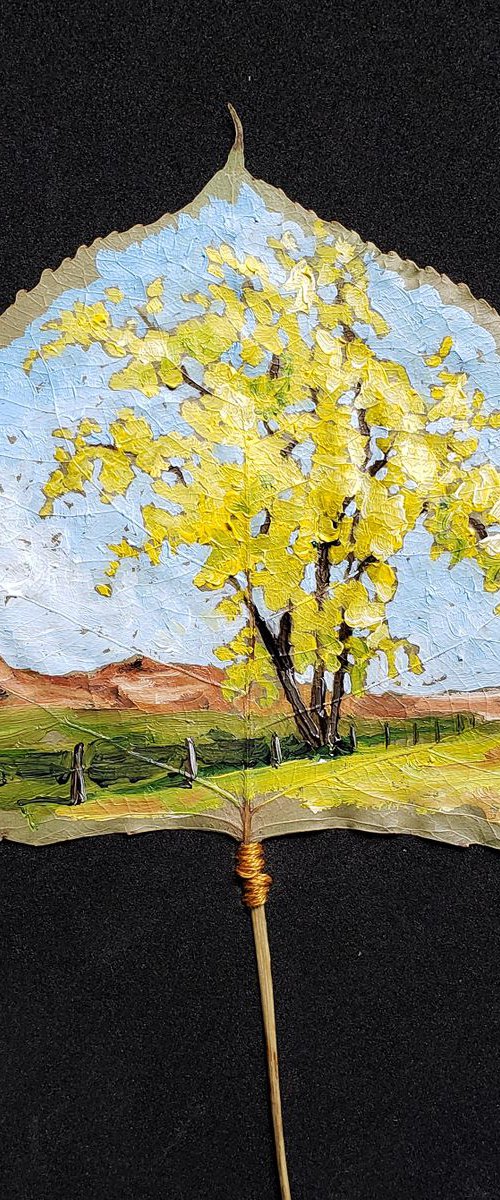 Landscape - Cottonwoods I by Katrina Case
