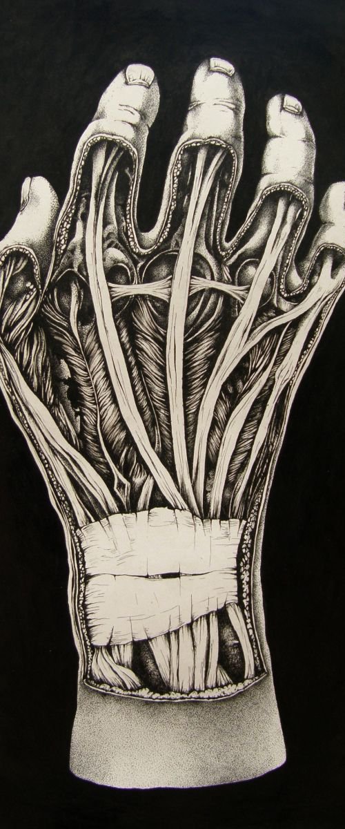 The Hand by Katarzyna Sliwa
