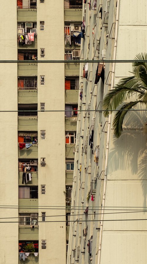 Concrete, Palm Trees and Power Lines by Serge Horta