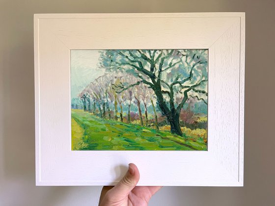Spring Mist, Brookside